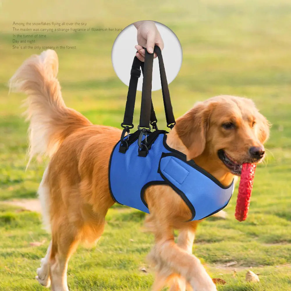 Rehabilitation Training Belt for Senior Dogs
