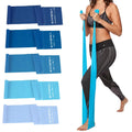 5 Pcs Professional Resistance Bands. Latex-Free Elastic Band Work Out Bands Stretch Bands for Working Out Women or Men Exercise Bands Set for Physical Therapy Yoga Pilates (Gradient Blue Set)