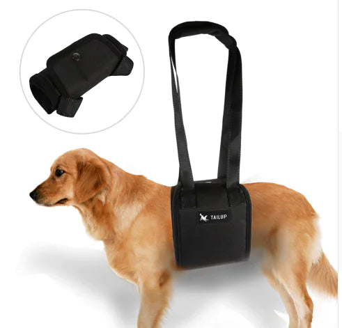Elderly Dog Assistance Tool for Disabled Pets